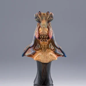 crabe6b682e8a385e7898801.webp